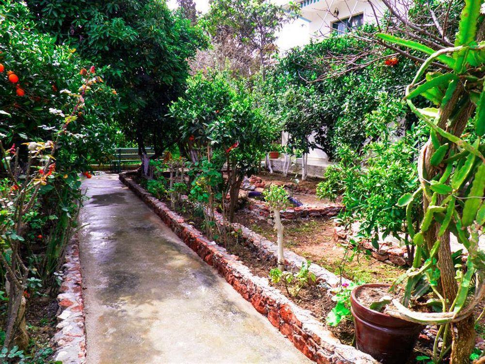Hotel Alpha Stegna Sun Archangelos  Exterior foto