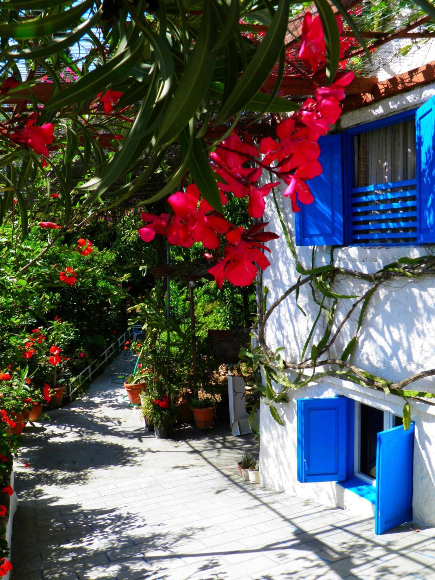 Hotel Alpha Stegna Sun Archangelos  Exterior foto
